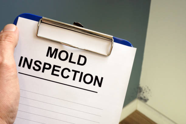 Best Mold Remediation for Healthcare Facilities  in Branchville, SC